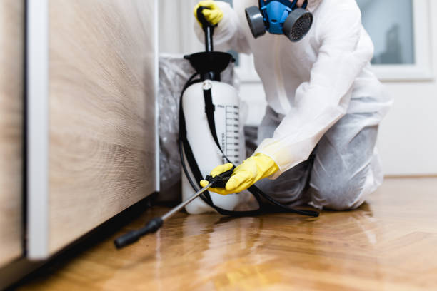 Best Best Pest Control Companies  in Zephyrhills South, FL