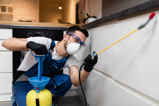 Best Pest Inspection Near Me  in Zephyrhills South, FL