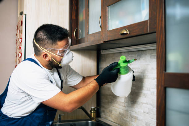 Best Best Pest Control Companies  in Zephyrhills South, FL