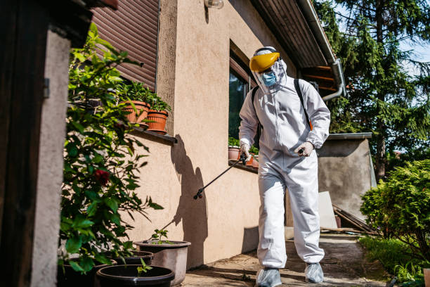 Best Local Pest Control Services  in Zephyrhills South, FL