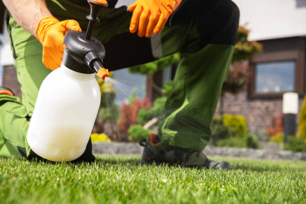 Best Spider Control Near Me  in Zephyrhills South, FL