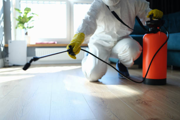 Best Mosquito Control Services  in Zephyrhills South, FL