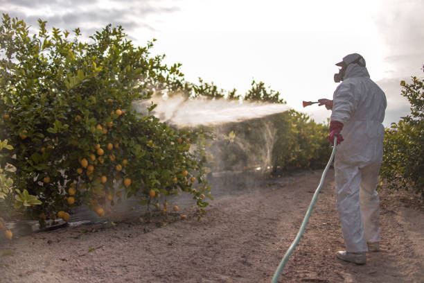 Best Mosquito Control Services  in Zephyrhills South, FL
