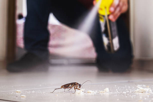 Best Pest Control Near Me in Zephyrhills South, FL