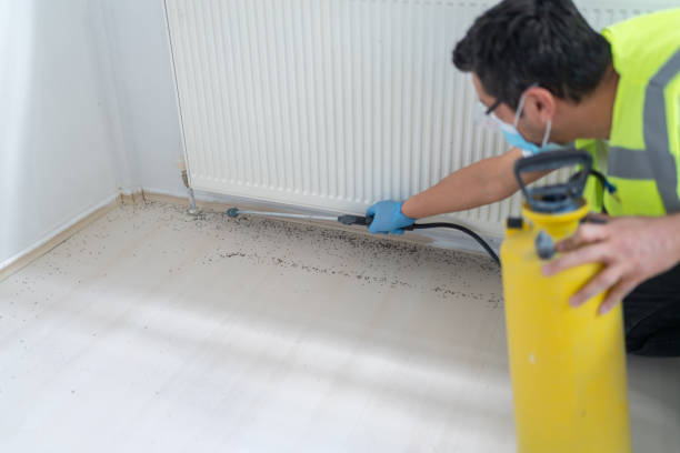 Best Pest Control Near Me  in Zephyrhills South, FL